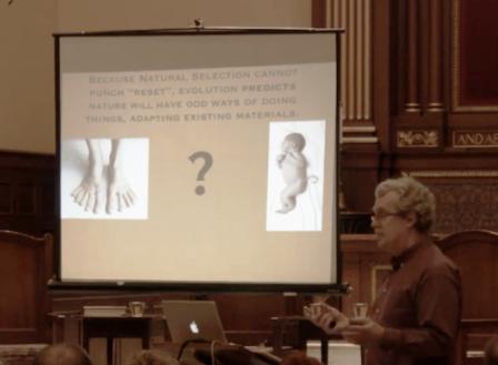 Image:Dr. Giberson showing the tailed baby in his presentation.